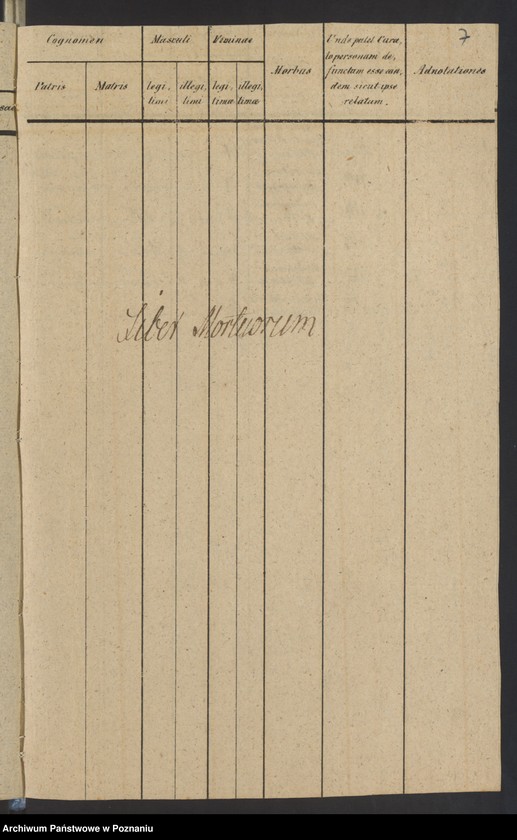 Obraz 7 z jednostki "Liber duplicatus baptisatorum, copulatorum et mortuorum"