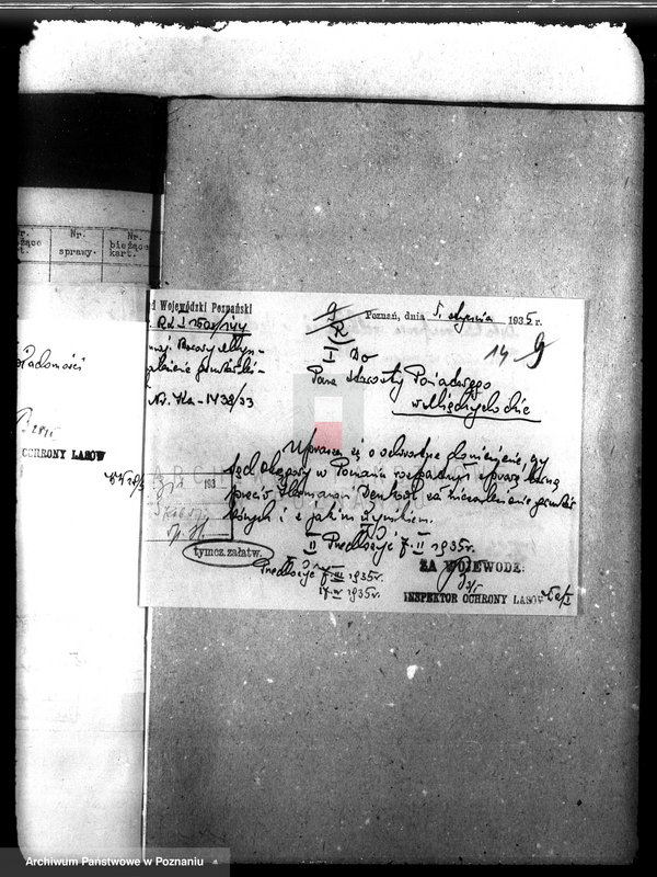 Obraz 18 z jednostki "Las majątku Borowy Młyn powiat międzychodzki"