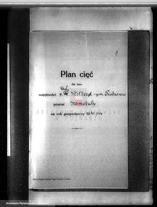 Obraz 5 z jednostki "Plan urządzenia gospodarstwa leśnego dla lasu Berty Stelter w Piotrowie powiat szamotulski 1930-1940"