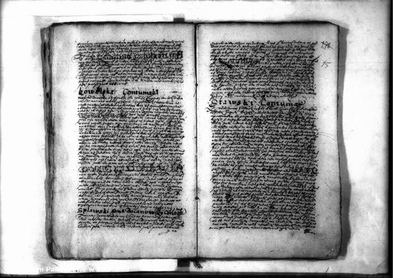 Obraz 17 z jednostki "Decreta iudicii [inducta]"