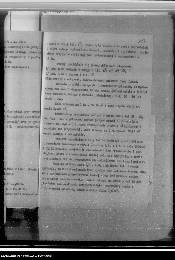 Obraz 14 z jednostki "Sprawa zatwierdzenia uzupełnienia planu gospodarstwa leśnego dla obciążonych służebnościami lasów majątku Biała-Królikowska powiatu konińskiego"
