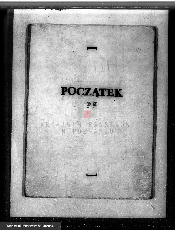 Obraz 3 z jednostki "Zalesienie nieużytków w powiecie kolskim"