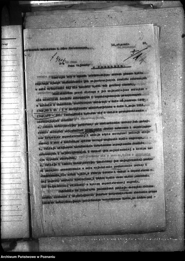 Obraz 5 z jednostki "Sprawy ogólne Wykazy chorób zaraźliwych; [księgosusz, zaraza płucna]"