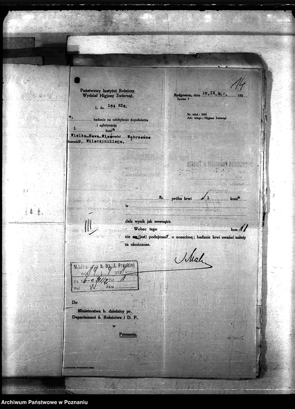 Obraz 18 z jednostki "Nosacizna - Wąbrzeźno"