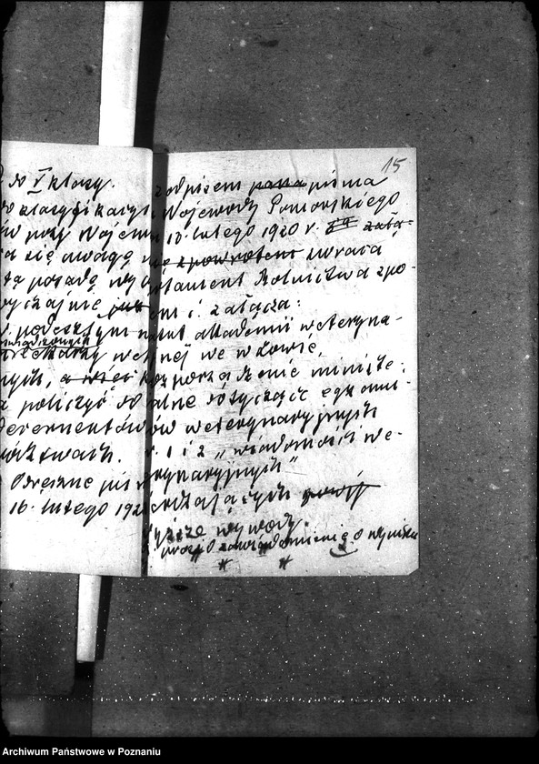 Obraz 19 z jednostki "Powiatowi lekarze weterynaryjni"