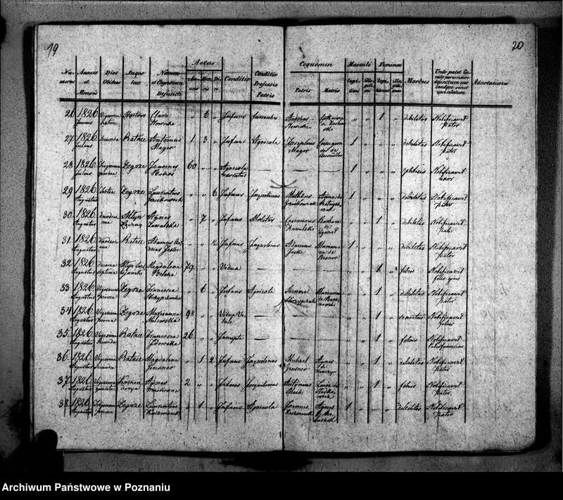 Obraz 15 z jednostki "Duplikat libri baptisatorum, copulatorum, mortuorum"