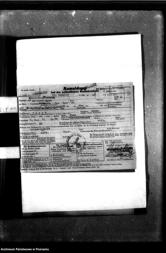 Obraz 7 z jednostki "[Akta personalne wychowanka Georga Marka, ur. 23 X 1930]."