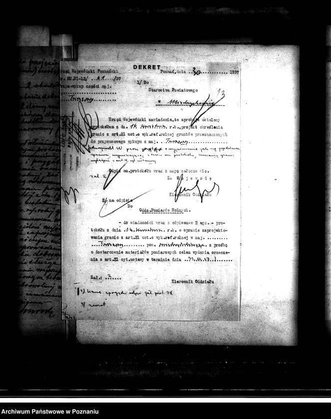 Obraz 17 z jednostki "Majątek Tuczępy powiatu międzychodzkiego przymusowy wykup"