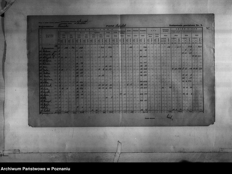 Obraz 8 z jednostki "/Statystyka produkcji rolnej - zestawienie powiatowe dotyczące zbiorów z terenu powiatu międzychodzkiego/"