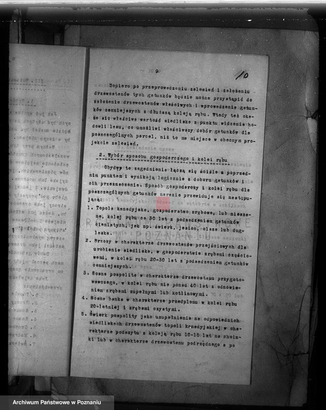 Obraz 18 z jednostki "Dodatkowy plan urządzenia gospodarstwa leśnego majątku Śródka powiat międzychodzki"