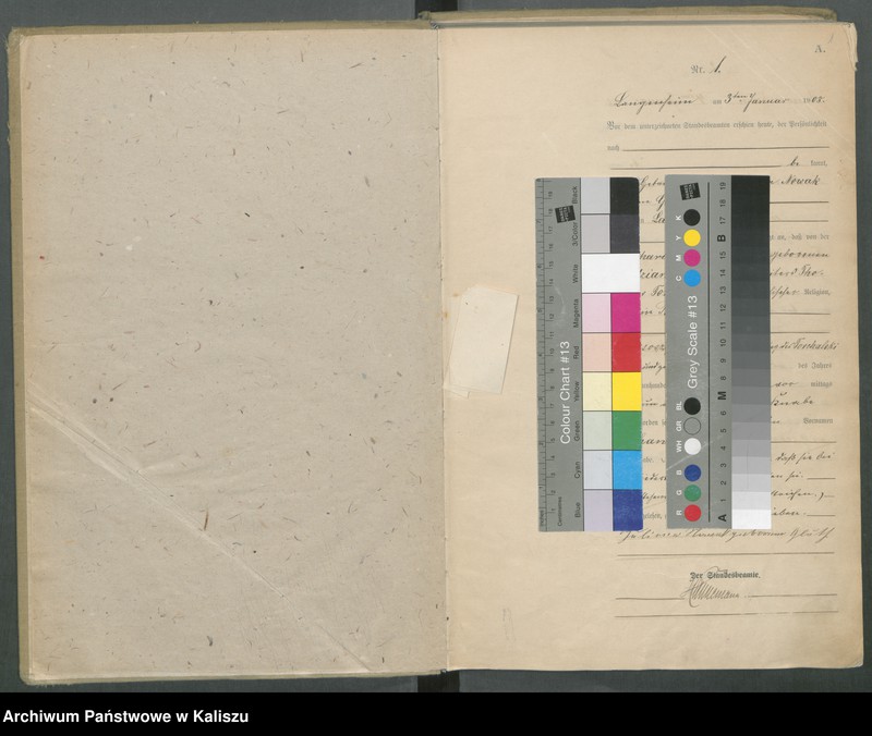 Obraz z jednostki "[Księga urodzeń]"