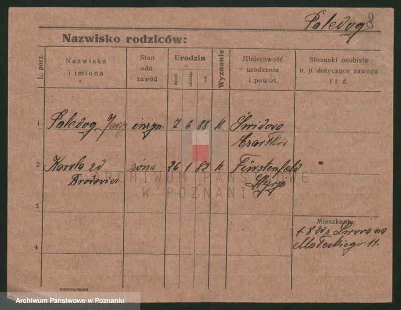 Obraz 8 z jednostki "Palecek - Paluszewski"