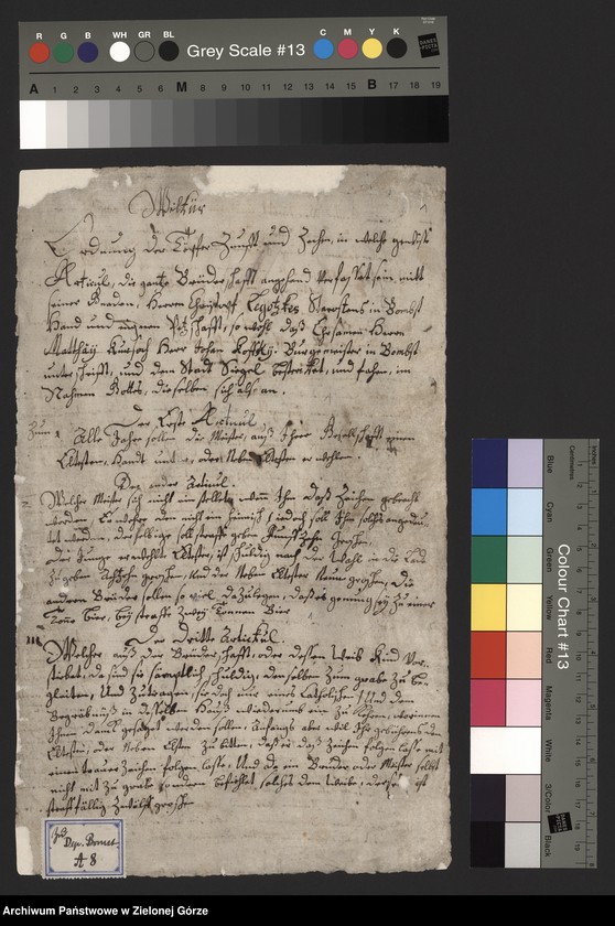 image.from.collection.number "Artykuły, wilkierze i przywileje cechów miasta Babimost111"