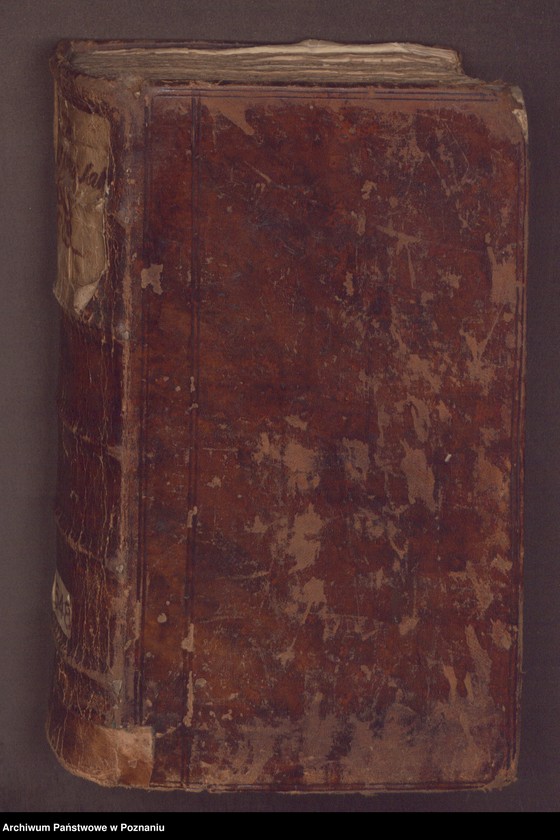 Obraz 3 z jednostki "Kontrakty sprzedaży, kupna, inwentarze."