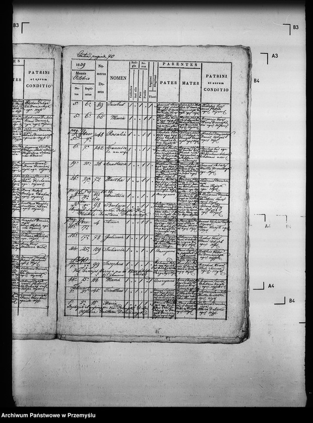 Obraz 18 z jednostki "[Kopie ksiąg metrykalnych parafii Wysowa z filią Blechnarka (dekanat Gorlice)]"