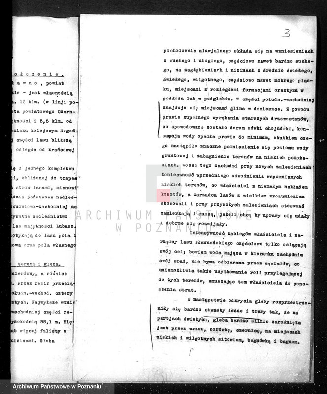 Obraz 7 z jednostki "/Opis lasu majętności Sławno w powiecie czarnkowskim/"