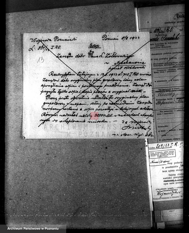 Obraz 16 z jednostki "Majętność /leśna/ Ni echanowo w powiecie gnieźnieńskim"