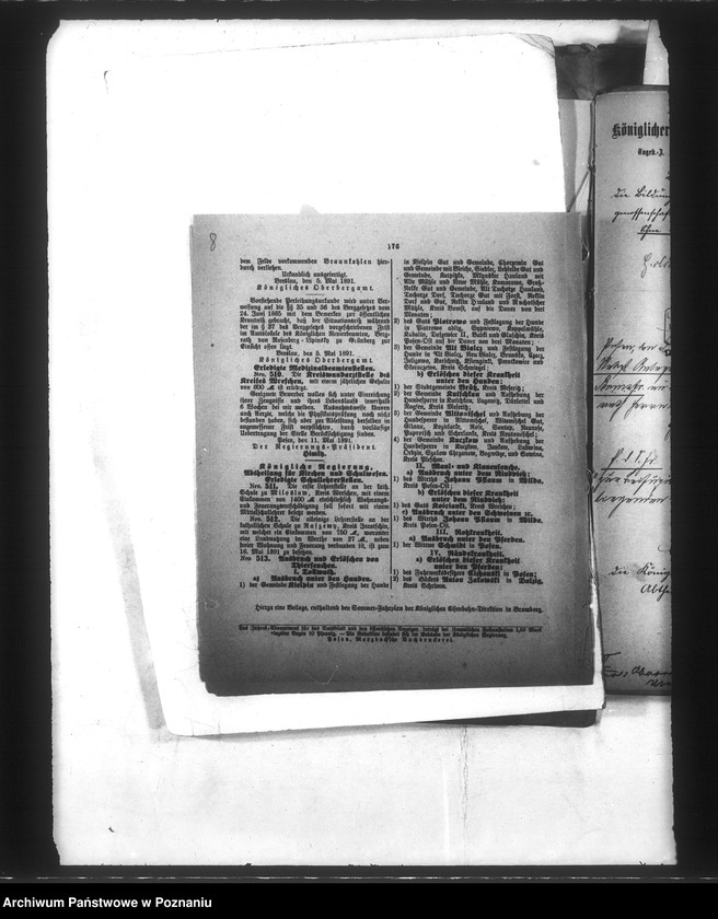 Obraz 12 z jednostki "Entwaesserung von Mścikowo im Kreise Obornik"