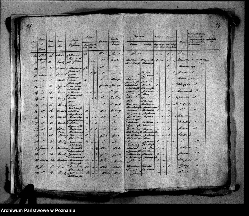 image.from.unit.number "Liber baptisatorum, copulatorum, mortuorum"