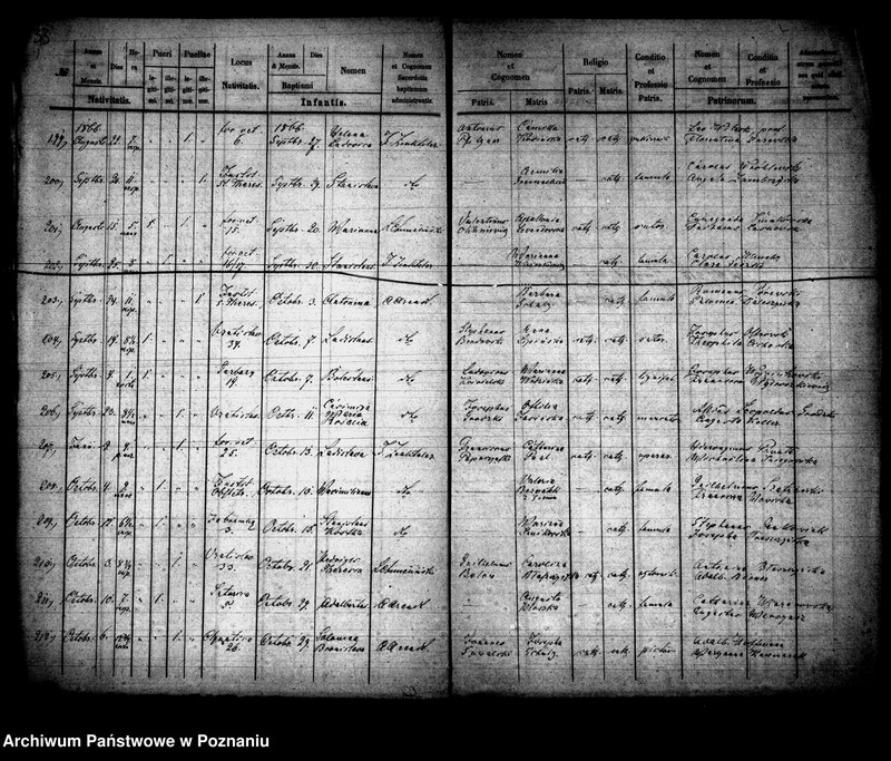 Obraz 18 z jednostki "Księga urodzin"