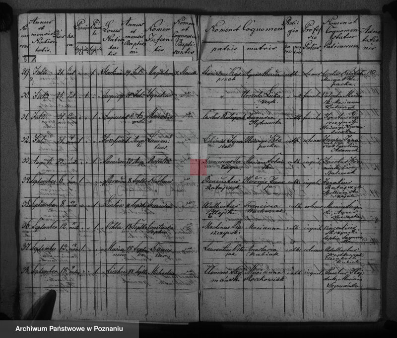 image.from.unit.number "Księga urodzeń, małżeństw i zgonów"