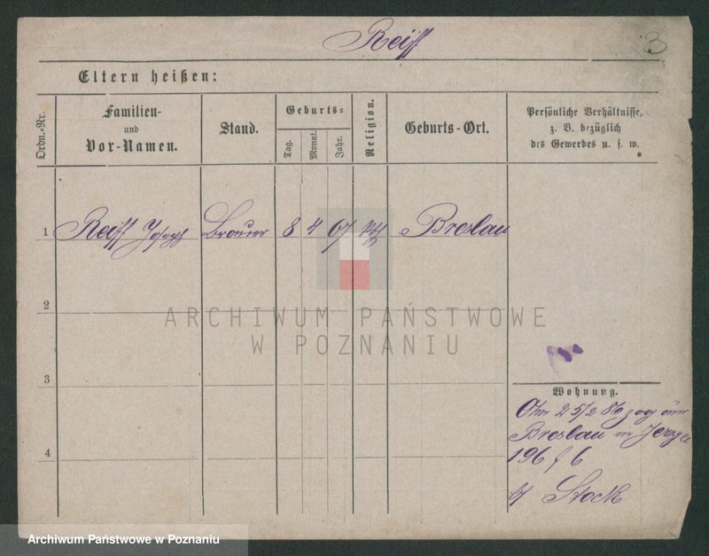 Obraz 5 z jednostki "Rajf - Rajman (Rei...)"