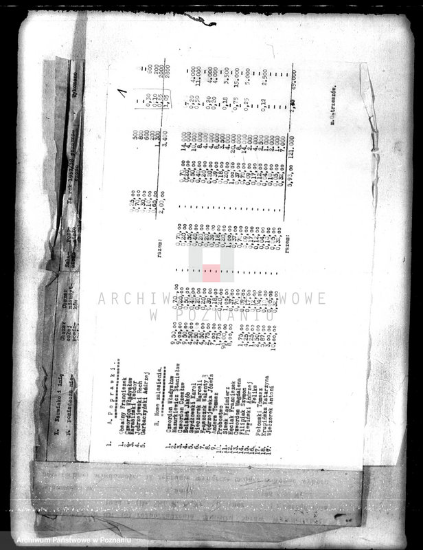 Obraz 5 z jednostki "/Sprawozdania z zalesienia nieużytków na terenie powiatu kępińskiego"