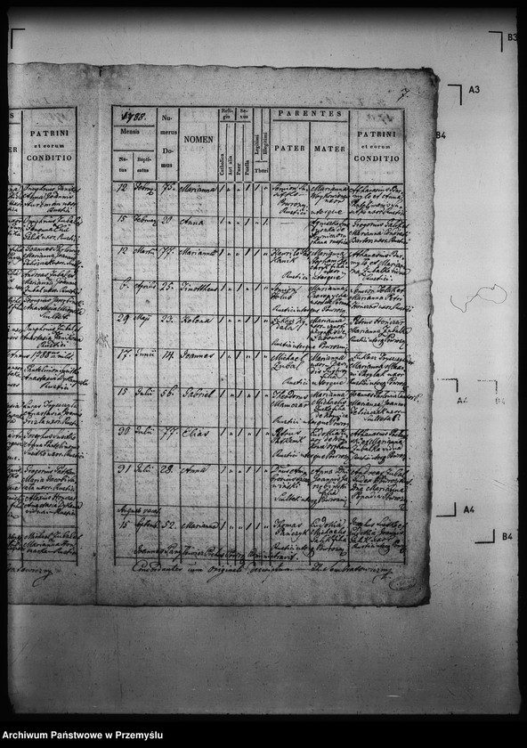 Obraz 11 z jednostki "[Kopie ksiąg metrykalnych parafii Powroźnik (dekanat Muszyna)]"