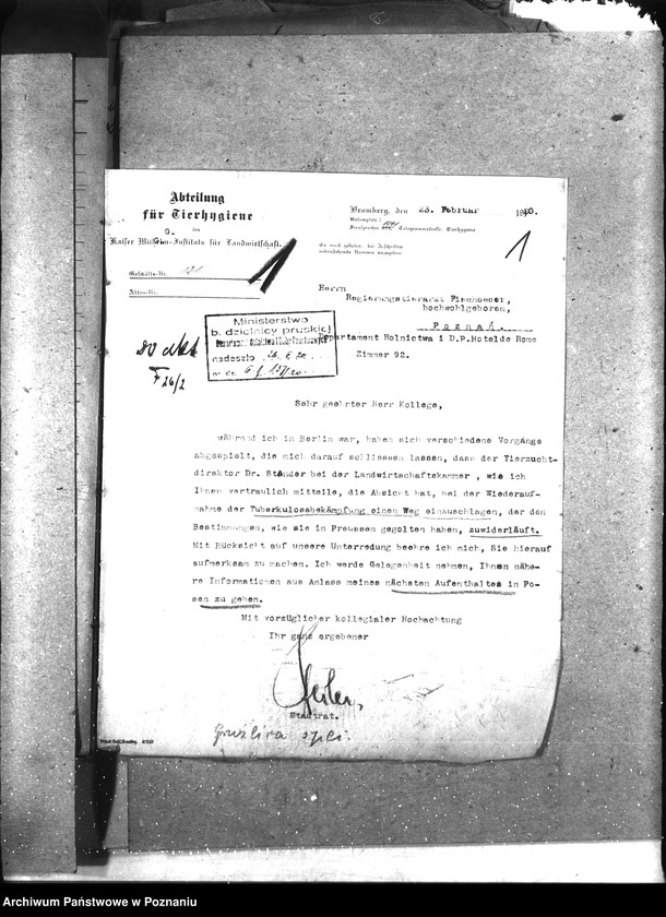 Obraz 5 z jednostki "Gruźlica"