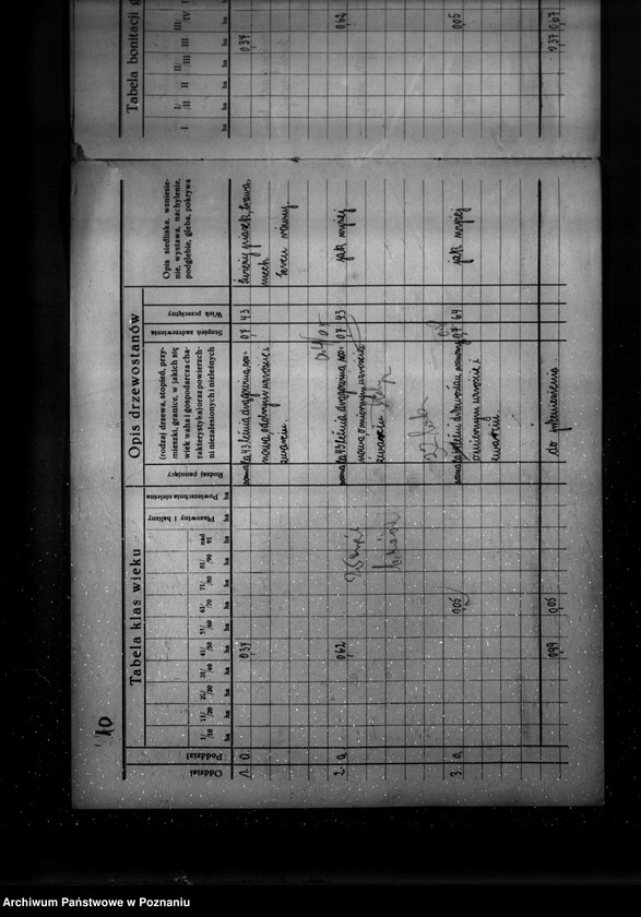 Obraz 18 z jednostki "/Program gospodarstw leśnych znajdujących się na terenie powiatu wolsztyńskiego/"