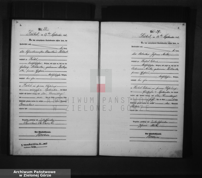 Obraz 19 z jednostki "[Księga urodzeń]"