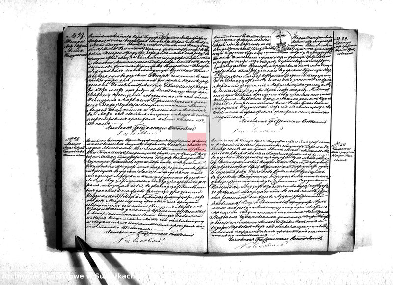 Obraz 10 z jednostki "Duplikat serejskago prichoda na 1875 god"