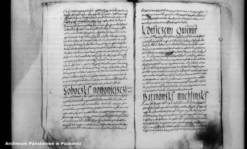 Obraz 5 z jednostki "Inscriptiones [inducta]"