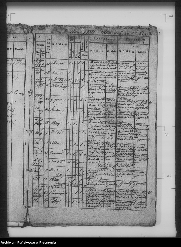 Obraz 12 z jednostki "[Kopie ksiąg metrykalnych parafii Żabcze Murowane z filią Bezejów (dekanat Bełz)]"