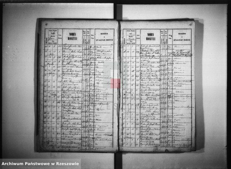 image.from.unit.number "Księga zgonów - Giedlarowa"