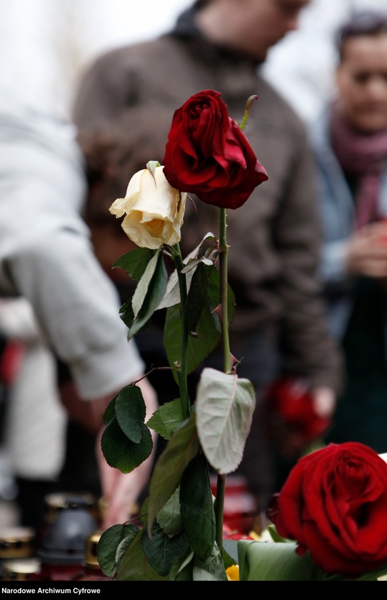 Obraz 4 z jednostki "Drugi dzień żałoby narodowej w Warszawie po katastrofie lotniczej w Smoleńsku"