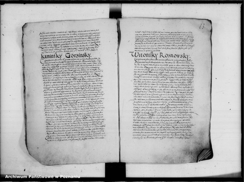 Obraz 18 z jednostki "Inscriptiones, relationes [inducta]"