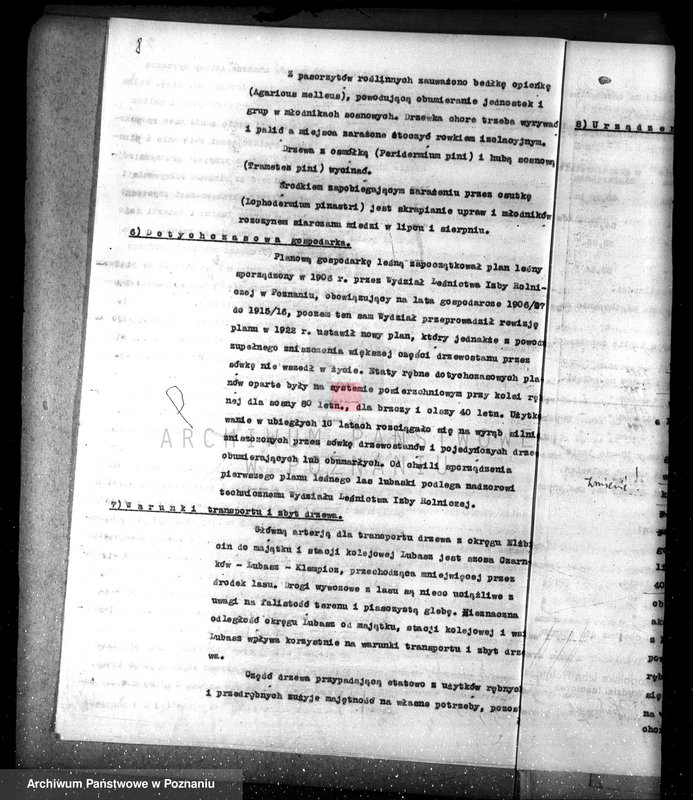 Obraz 12 z jednostki "Nadzór nad lasami/ majątku Lubasz powiatu czarnkowskiego"