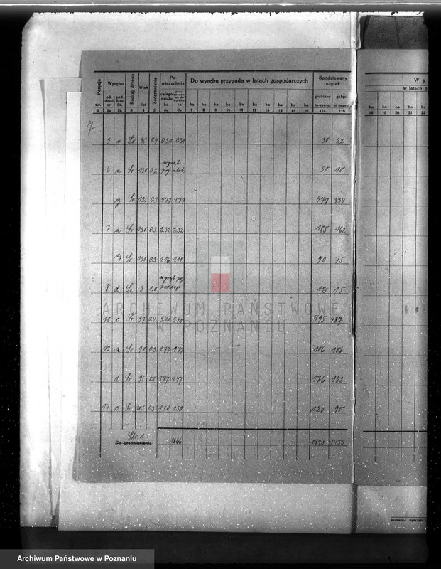 Obraz 11 z jednostki "Plan urządzenia gospodarstwa leśnego dla lasu ordynacji Kobylniki powiat szamotulski 1930-1940"