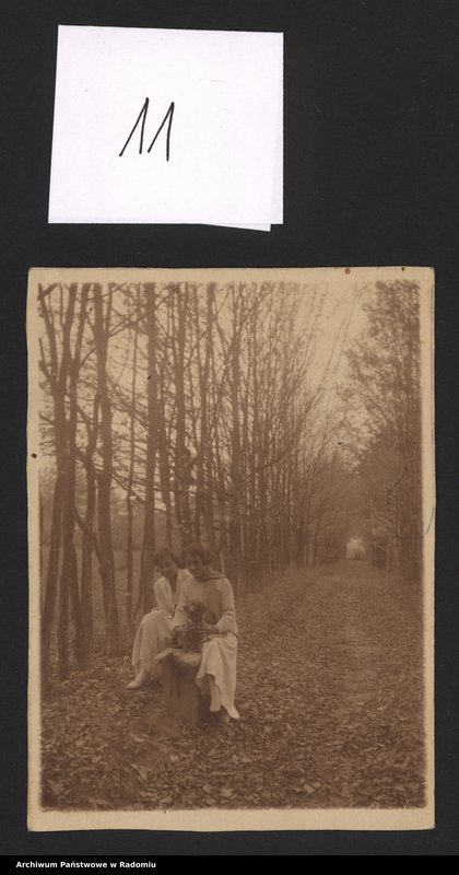 Obraz 7 z kolekcji "Najlepszy przyjaciel człowieka111"