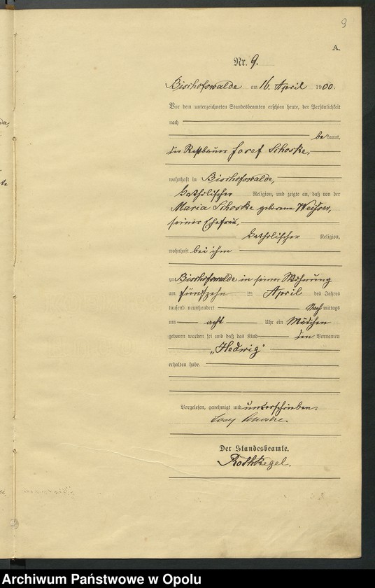 Obraz 13 z jednostki "Geburts-Haupt-Register des Standsamts Bischofswalde pro 1900"