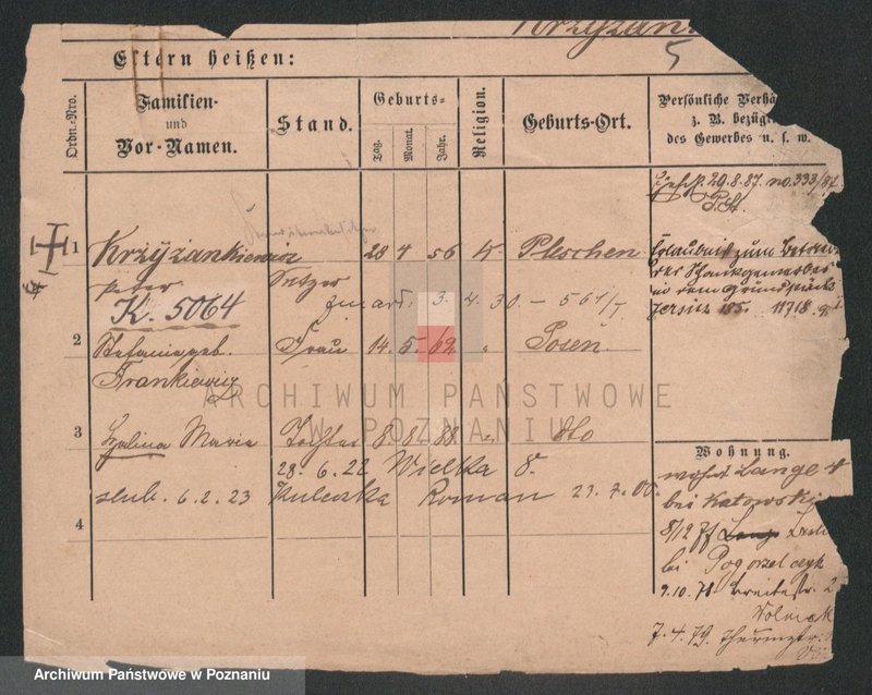 Obraz 5 z jednostki "Krzyżankiewicz - Kszyrski"