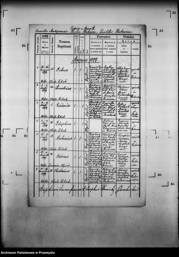 Obraz 13 z jednostki "[Kopie ksiąg metrykalnych parafii Łabowa z filiami Kotów, Łabowiec, Uhryń Niżny (dekanat Muszyna)]"