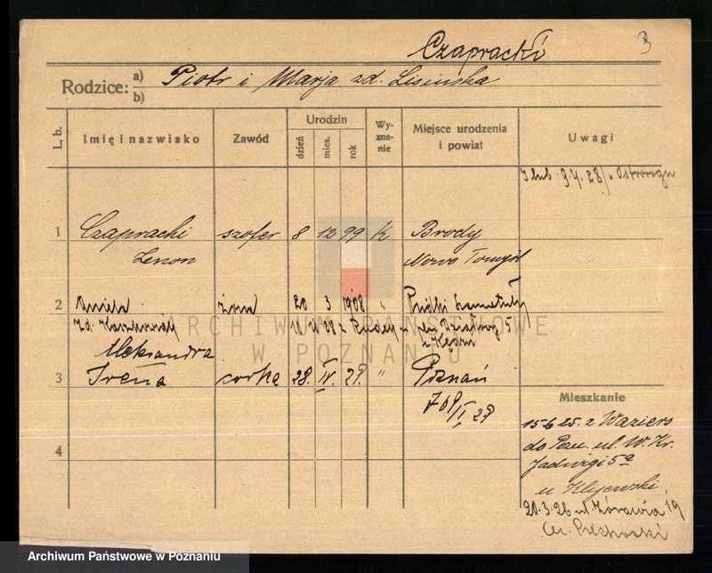 Obraz 5 z jednostki "Czapnik - Czarnecki"