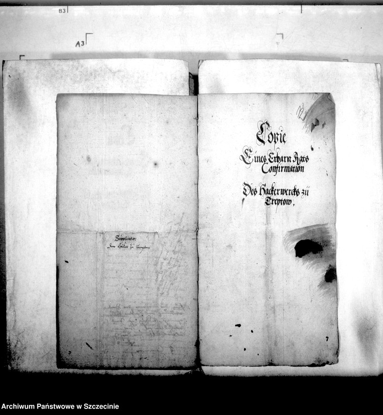 image.from.unit.number "Privilegien, Konzessionen und Zunftrollen der Höcker in Treptow a/R."