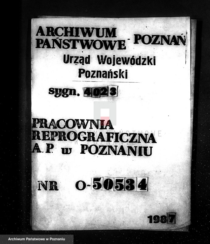 Obraz 1 z jednostki "Majętność leśna Kostrzynek-Mościska powiat wyrzyski"