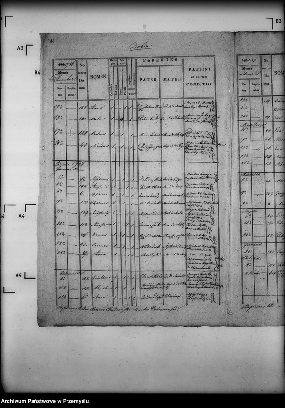 Obraz 15 z jednostki "[Kopie ksiąg metrykalnych parafii Dobra (dekanat Sieniawa)]"
