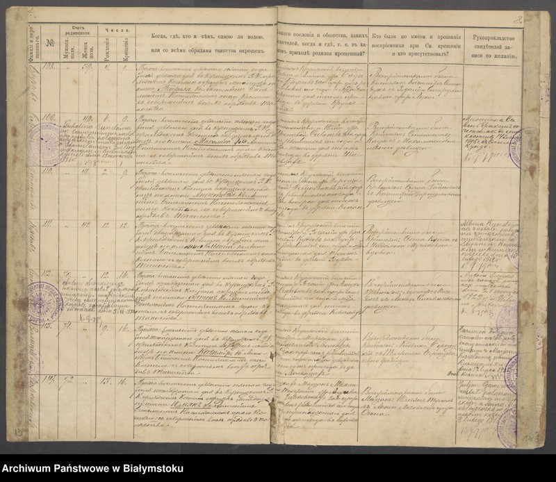 Obraz 10 z jednostki "[Akta urodzeń od nr 67/1895 do nr 114/1901]"