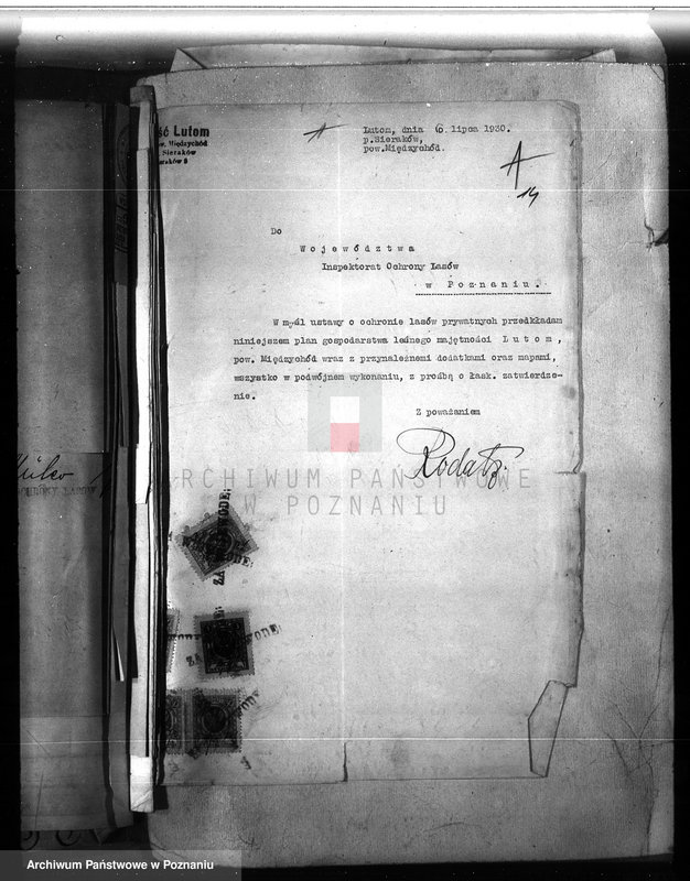image.from.unit.number "Majętność leśna Lutom w powiecie międzychodzkim"