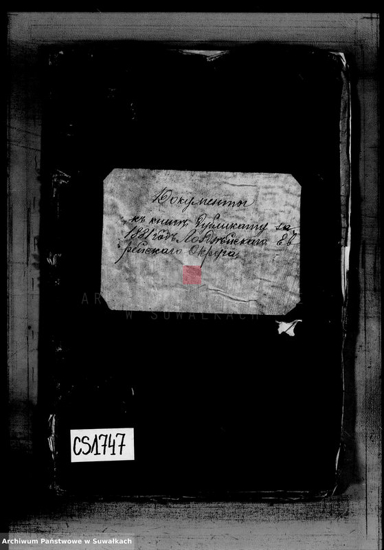 image.from.unit.number "Dokumenty k knige dublikatu na 1881 god Lozdzejskogo Evrejskogo Okruga"